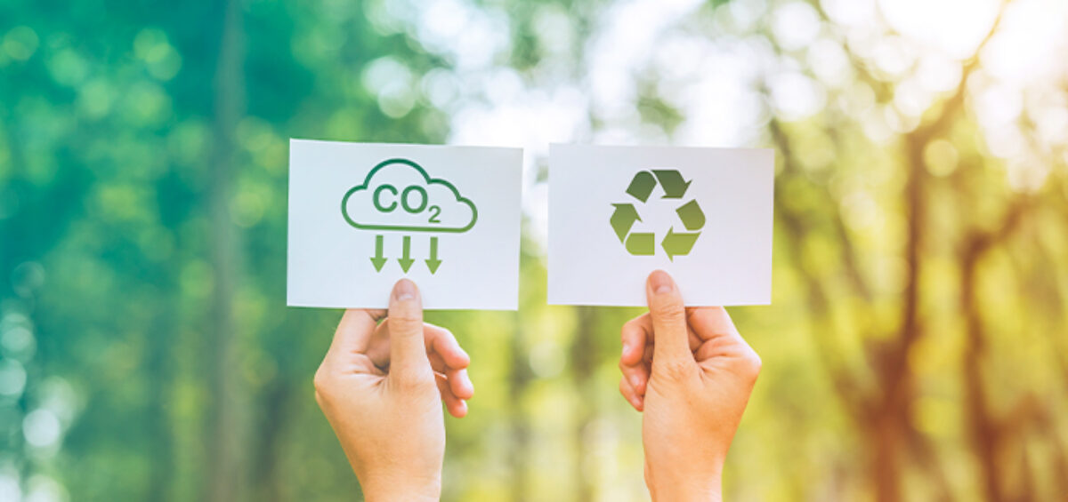 Actionable Ways to Establish Your Carbon Reduction Plan