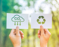 Actionable Ways to Establish Your Carbon Reduction Plan